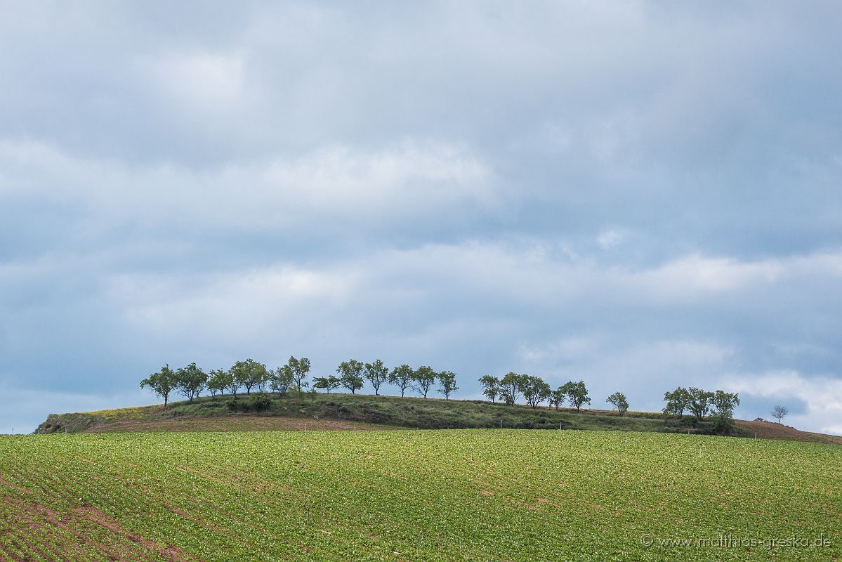 MSG_20150522085337_DSC03530.JPG - Auf dem Weg nach Santiago de Compostela