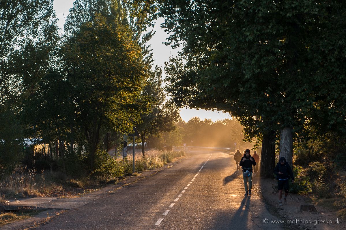 MSG_20170917082339_DSC08633ext0.JPG - Frühmorgens auf dem Pilgerweg