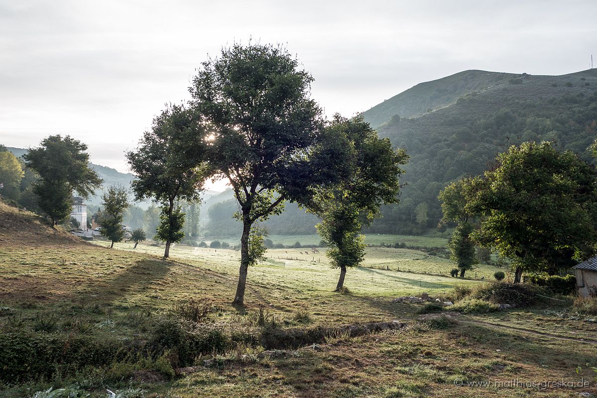 MSG_20170921090502_DSC09182ext0.JPG - Morgenstimmung auf dem Camino