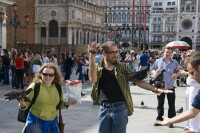 Tauben fttern am Markusplatz