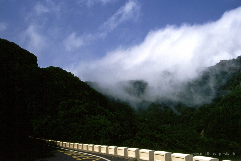 teneriffa-anagagebirge-001.jpg - Im Anaga Gebirge