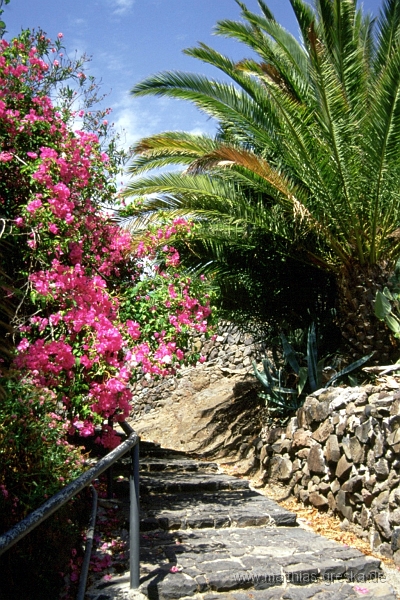 teneriffa-masca-001.jpg - Bummel durch Masca