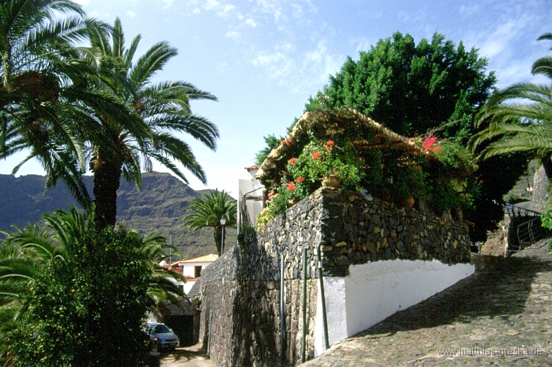 teneriffa-masca-003.jpg - Bummel durch Masca