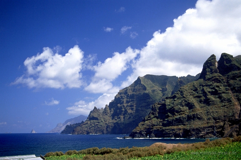 teneriffa-punta-hidalgo-001.jpg - Am Punta Hidalgo