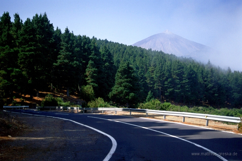 teneriffa-teide-001.jpg - Auf dem Weg zum Teide