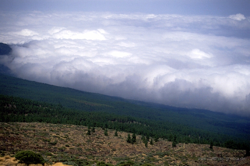 teneriffa-teide-004.jpg - Auf dem Weg zum Teide - Wolkenschicht