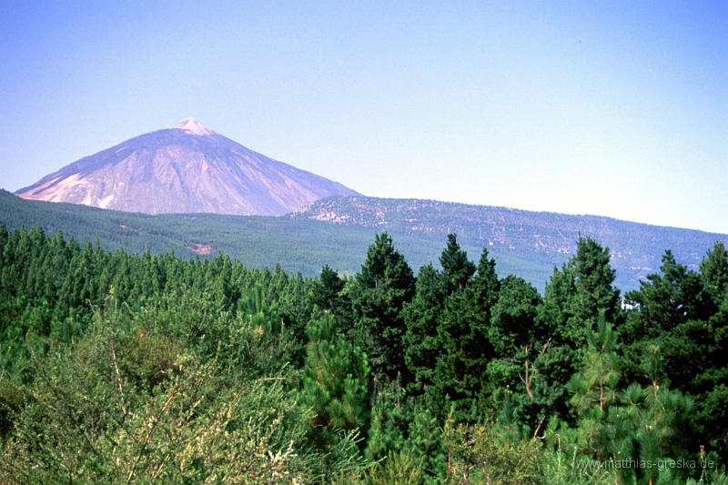 teneriffa-teide-005.jpg - Auf dem Weg zum Teide